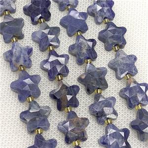 Natural Blue Sodalite Star Beads Faceted, approx 14mm [GB24366]