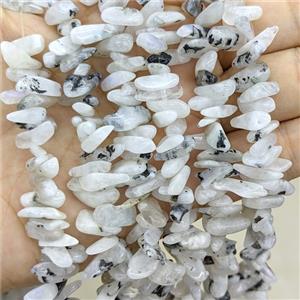 Natural White Moonstone Chips Beads Freeform Topdrilled, approx 5-16mm [GB24417]