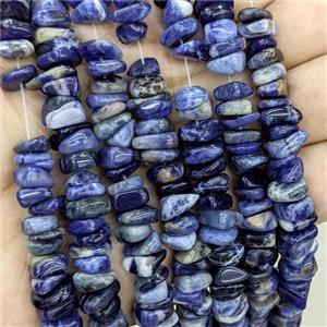 Natural Blue Sodalite Chips Beads Freeform, approx 7-10mm [GB24432]