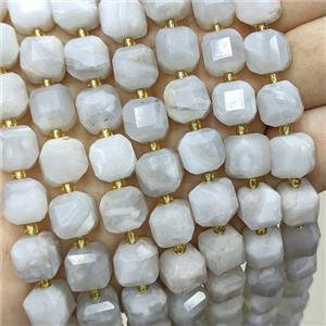 Natural White Crazy Lace Agate Beads Faceted Cube, approx 10-12mm [GB24637]
