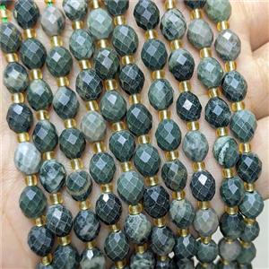 Natural Green Wood Jasper Beads Faceted Rice, approx 6-8mm [GB24727]