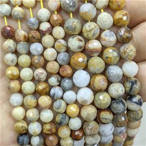 Natural Yellow Crazy Lace Agate Beads Faceted Round, approx 6mm [GB24774-6MM]
