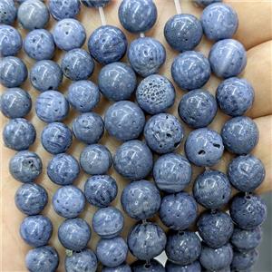 Blue Coral Fossil Beads Smooth Round, approx 10mm [GB24800-10MM]