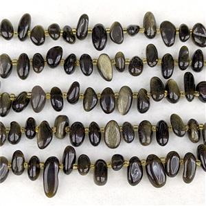Natural Golden Obsidian Chips Beads Freeform Topdrilled, approx 7-15mm [GB24937]