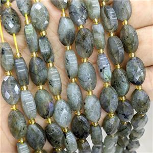 Natural Labradorite Beads Faceted Horse-Eye, approx 9-14mm [GB25122]