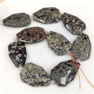 Snowflake Jasper Slice Beads, approx 20-38mm [GB25135]