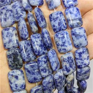 Blue Dalmatian Jasper Rectangle Beads, approx 13-18mm [GB25143]