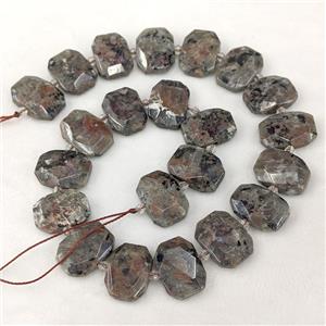 Natural Yooperlite Flame Jasper Beads Faceted Rectangle, approx 13-23mm [GB25227]