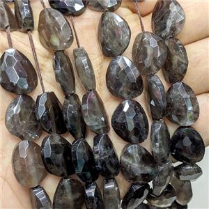 Smoky Quartz Triangle Beads Faceted, approx 13-16mm [GB25434]