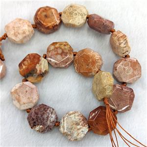 Coral Fossil Hexagon Beads, approx 22-23mm [GB25906]