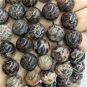 Natural Coral Fossil Beads Smooth Round Black Dye, approx 20mm [GB25986-20MM]