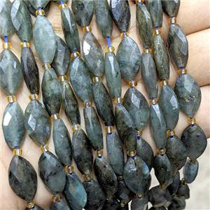 Natural Labradorite Horseeye Beads Faceted, approx 10-16mm [GB26021]