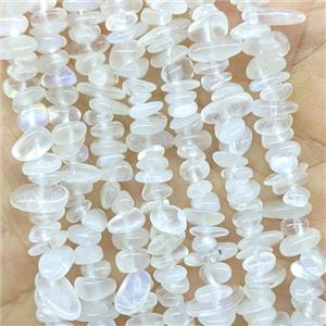 Natural White Moonstone Chips Beads Freeform, approx 5-8mm [GB26026]