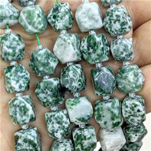 Green Dalmatian Jasper Nugget Beads Freeform Faceted, approx 9-12mm [GB26098]