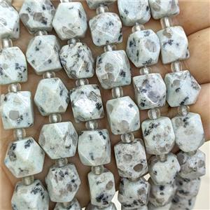 Kiwi Jasper Nugget Beads Freeform Faceted, approx 9-12mm [GB26107]