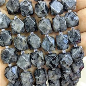 Black Labradorite Nugget Beads Freeform Faceted, approx 9-12mm [GB26114]