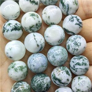 Natural Green Tree Dendrite Agate Beads Smooth Round, approx 16mm [GB26654]