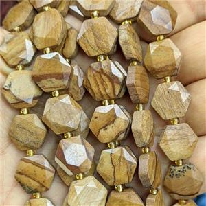 Picture Jasper Hexagon Beads Faceted, approx 12mm [GB27012]