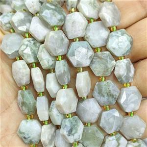 Green Peace Jasper Hexagon Beads Faceted, approx 12mm [GB27014]