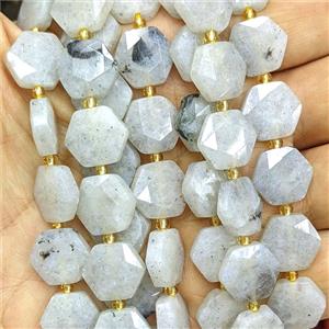Labradorite Hexagon Beads Faceted, approx 12mm [GB27026]