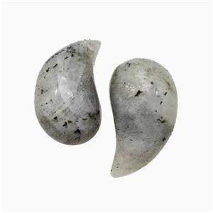 Natural Labradorite Comma Pendant, approx 10-20mm [GM24549]