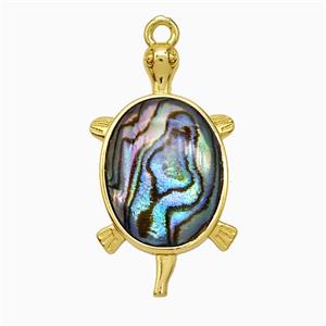 Abalone Shell Tortoise Pendant Gold Plated, approx 16-30mm [GM24795]