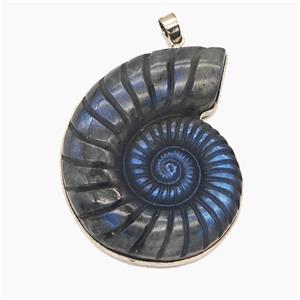 Natural Labradorite Conch Shell Pendant Spiral Carved, approx 35-45mm [GM25758]