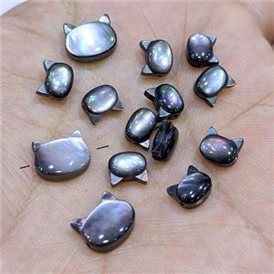 Black MOP Shell Cat-header Beads Dye, approx 6-7mm [GM25932-S]