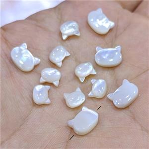 White MOP Shell Cat-Header Beads, approx 6-7mm [GM25933-S]
