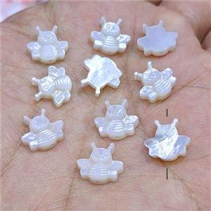 White MOP Shell Honeybee Beads, approx 10-11mm [GM25935]