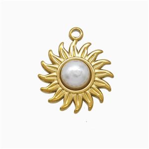 Stainless Steel Pendant, Platinum plated, approx 15mm [SSB7250]