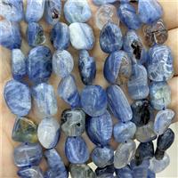 Natural Blue Kyanite Chips Beads Freeform, approx 9-14mm [GB24393]