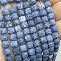 Blue Coral Fossil Beads Faceted Cube, approx 7-8mm [GB25850]