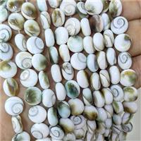 Sea Shell Button Beads, approx 10mm [SHM0198]